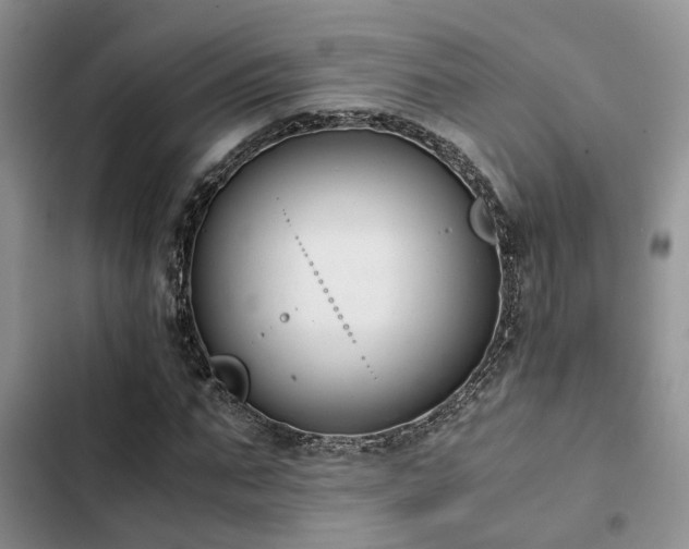 X0000102860871200808181439