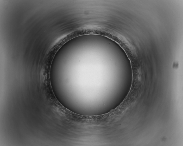 X0000102860872200808181439