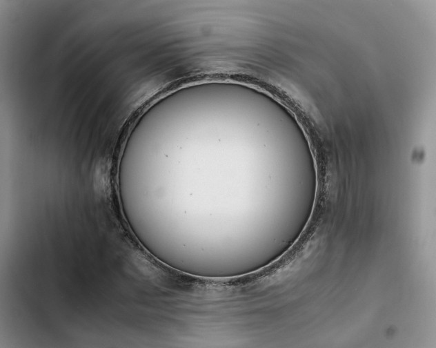 X0000102860873200808181439