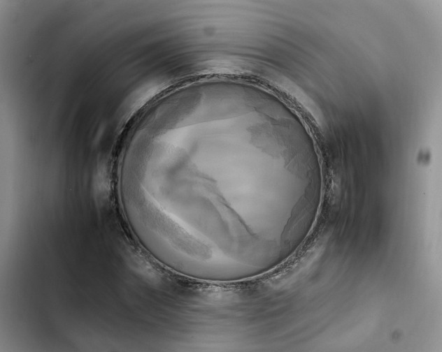 X0000102860874200808181439