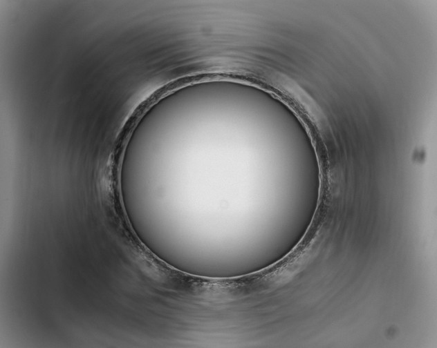 X0000102860875200808181439