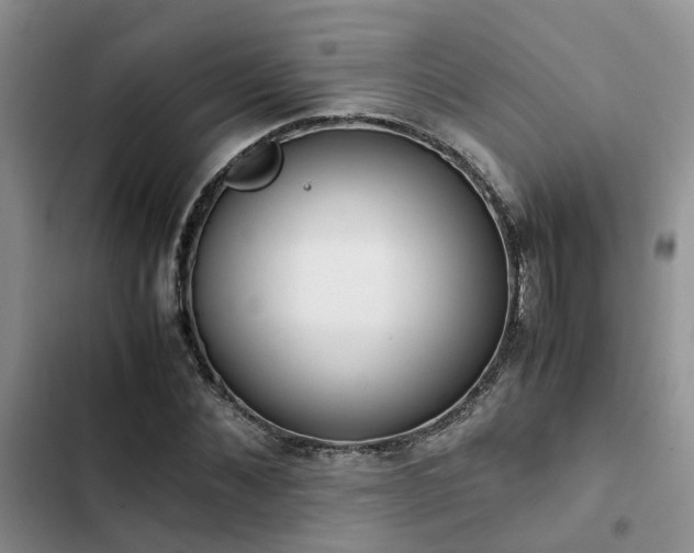 X0000102860876200808181439