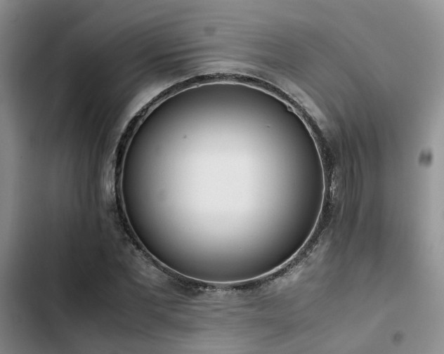 X0000102860877200808181439