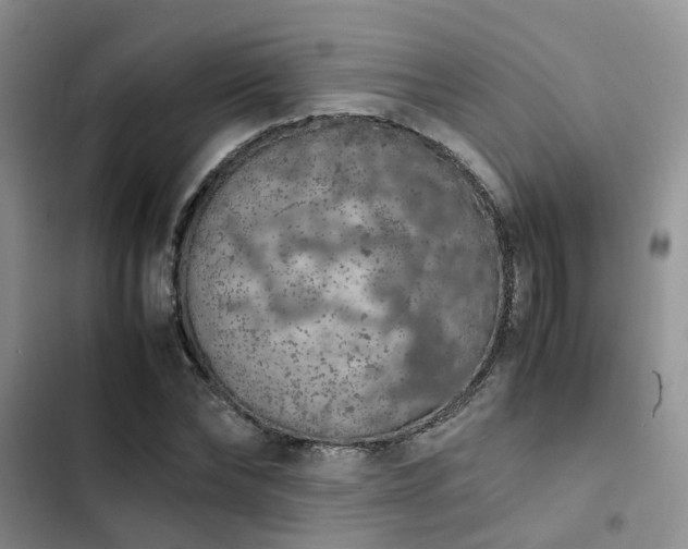 X0000102860878200808181439