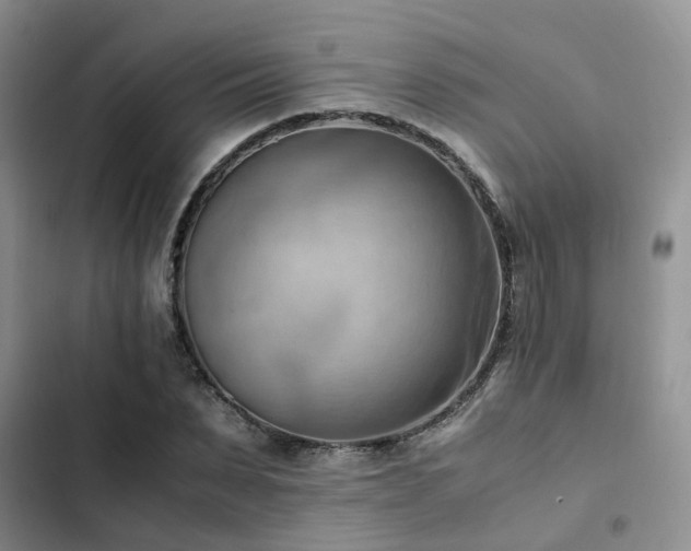 X0000102860879200808181438