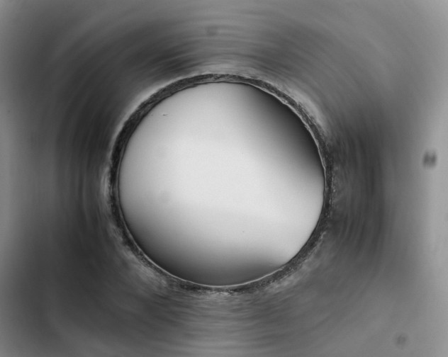 X0000102860880200808181438