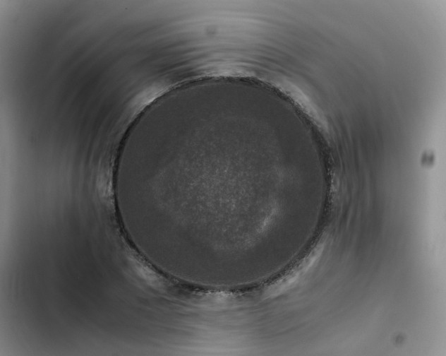 X0000102860881200808181438