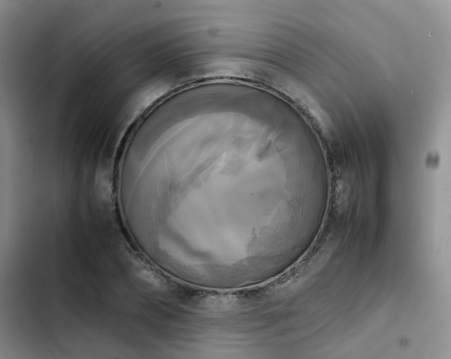 X0000102860882200808181438