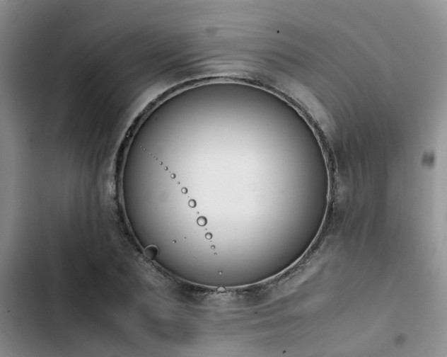 X0000102860883200808181438