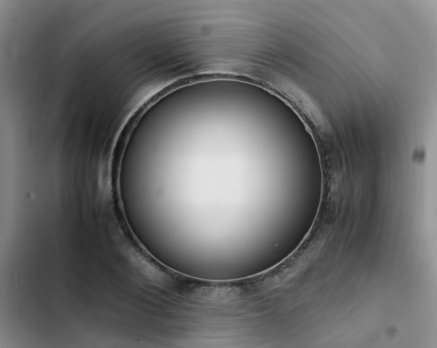 X0000102860884200808181438