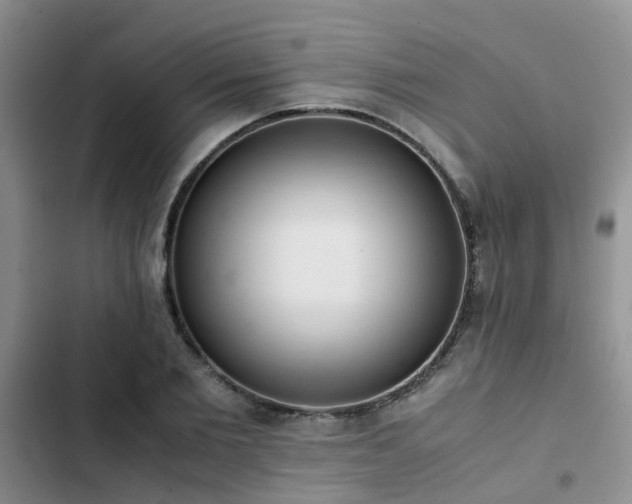 X0000102860885200808181438