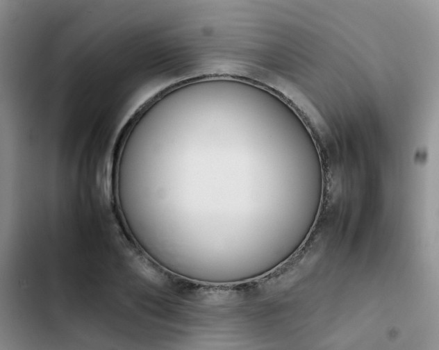 X0000102860886200808181438