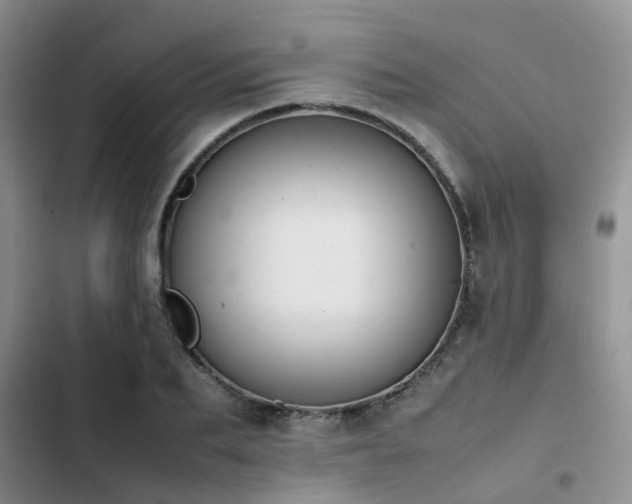 X0000102860887200808181438