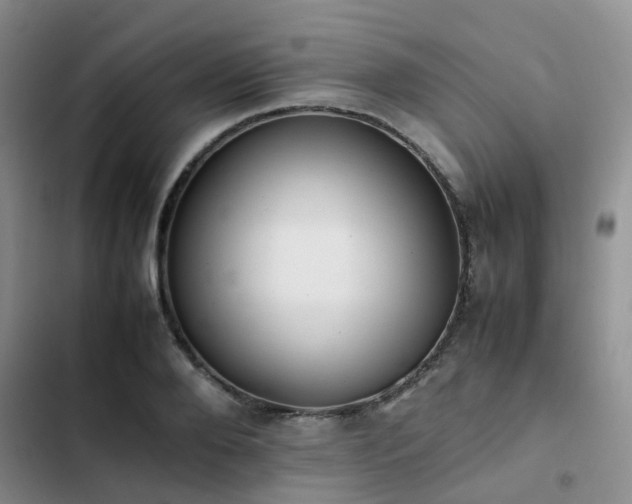 X0000102860888200808181438