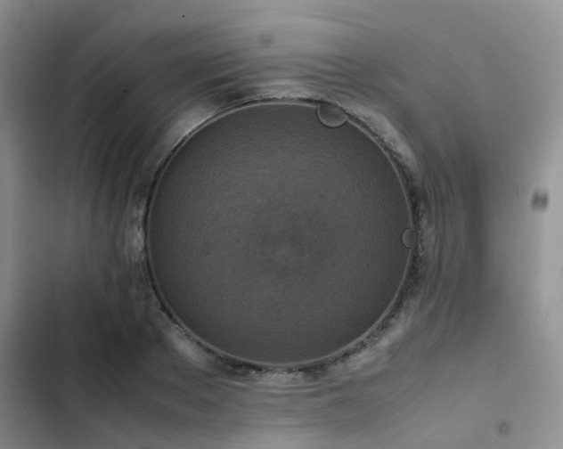 X0000102860889200808181438