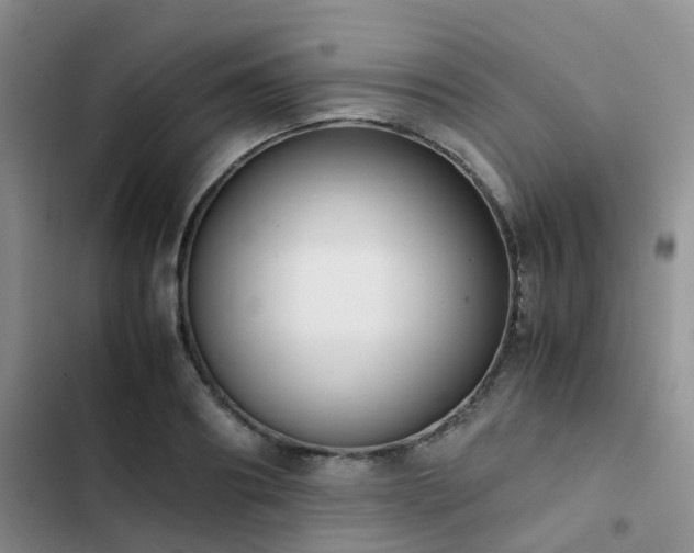 X0000102860890200808181438