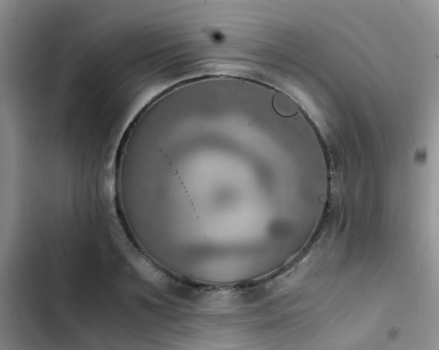 X0000102860891200808181438