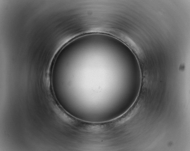 X0000102860892200808181438