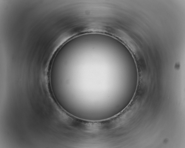 X0000102860893200808181438