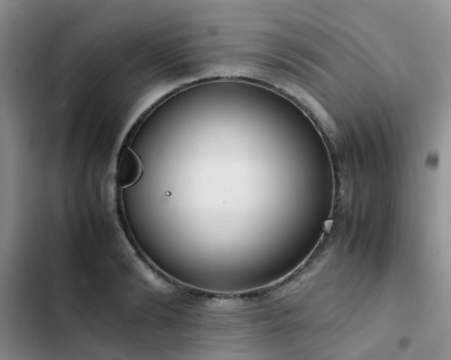 X0000102860894200808181438