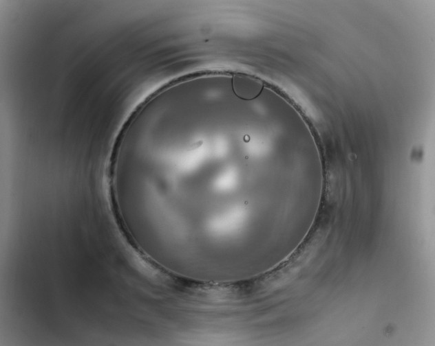 X0000102860895200808181438