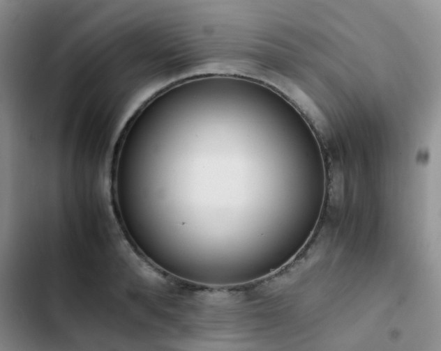 X0000102860896200808181438