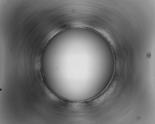 X0000102860897200808181438