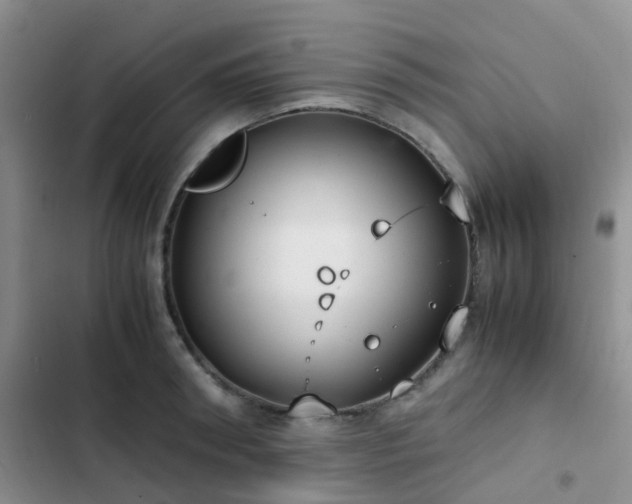 X0000102860898200808181438