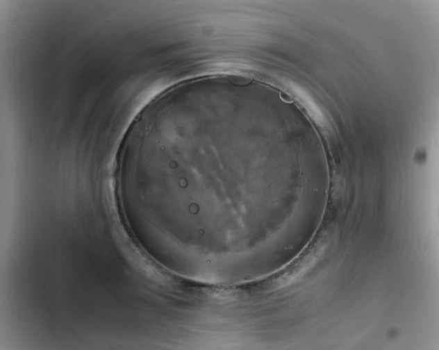 X0000102860899200808181438