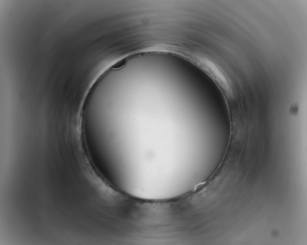 X0000102860900200808181438