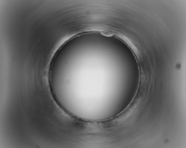 X0000102860901200808181438