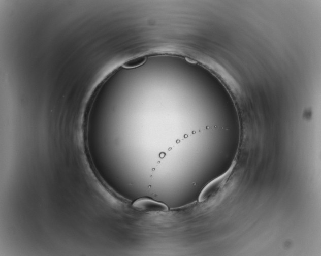 X0000102860902200808181438