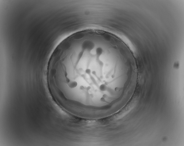 X0000102860903200808181438