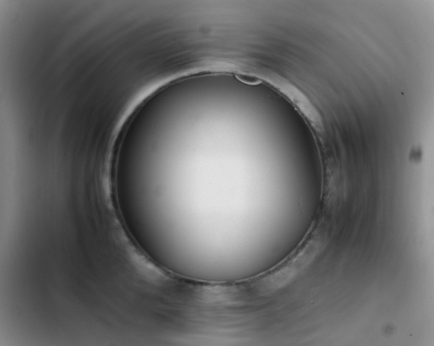 X0000102860904200808181438