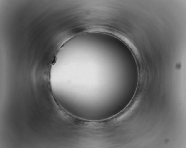 X0000102860905200808181438