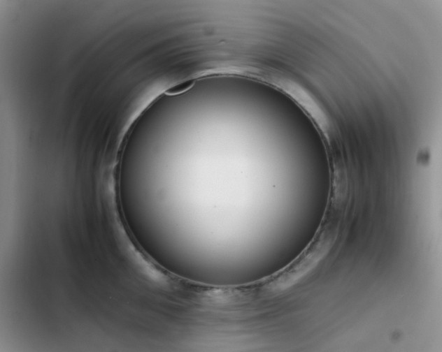 X0000102860906200808181438