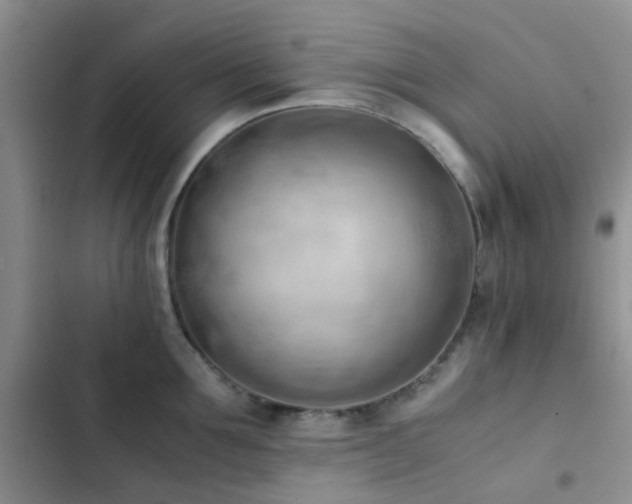 X0000102860907200808181438