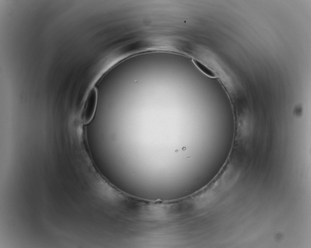 X0000102860908200808181438