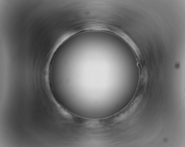 X0000102860909200808181438