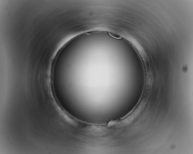 X0000102860910200808181438