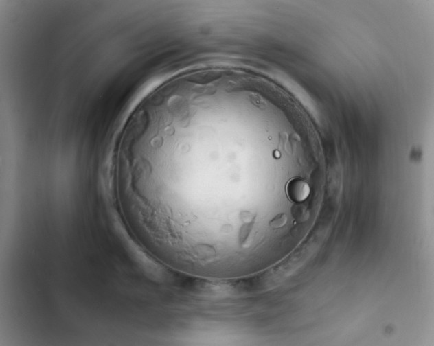 X0000102860911200808181438