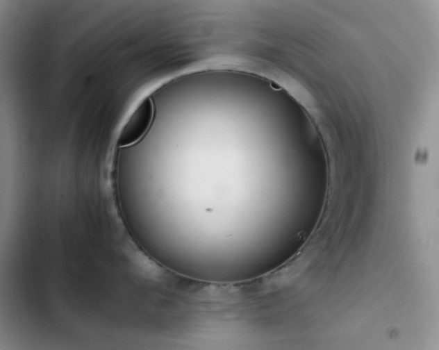 X0000102860912200808181438