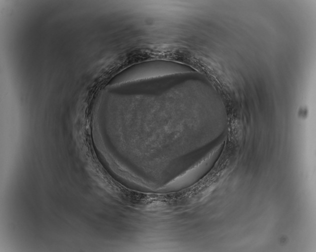 X0000102860913200808181437