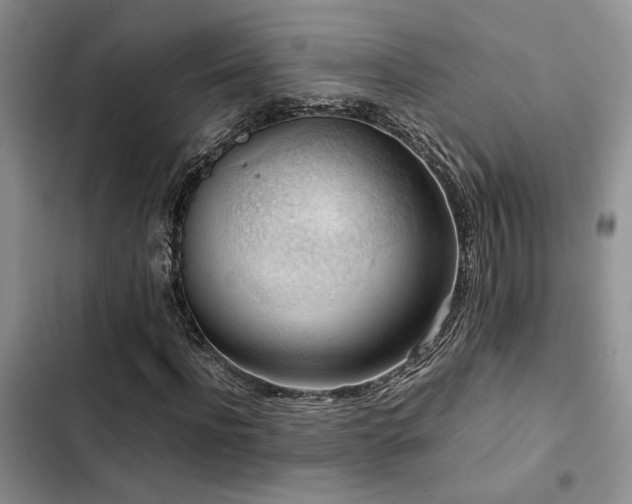 X0000102860916200808181437