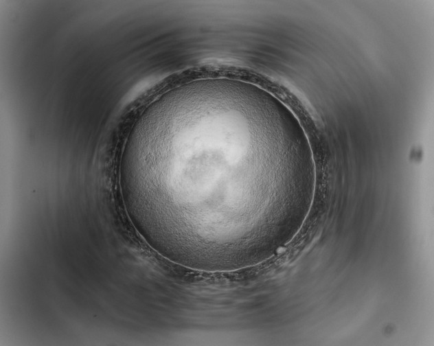 X0000102860919200808181437