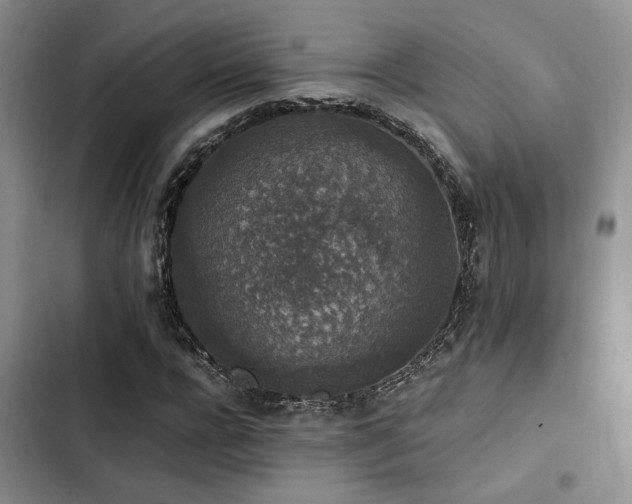 X0000102860920200808181437