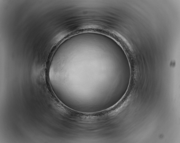 X0000102860921200808181437