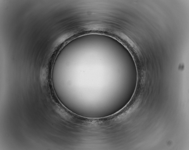 X0000102860922200808181437