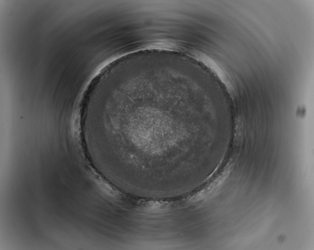 X0000102860923200808181437