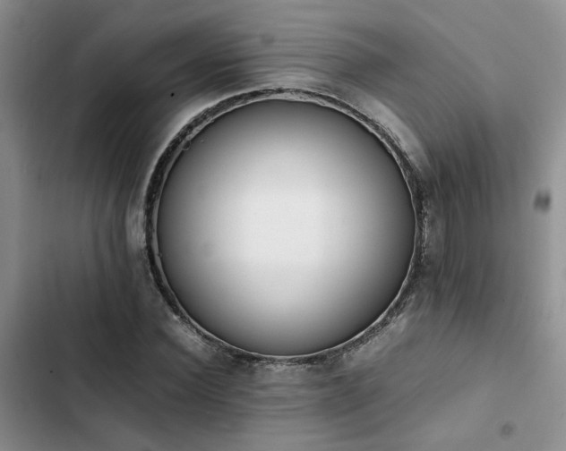 X0000102860924200808181437